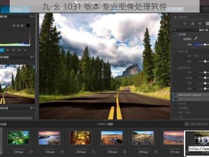 九·幺 1031 版本 专业图像处理软件