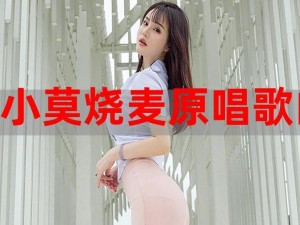 内蒙古特色小莫烧麦原唱 dj 音乐合集