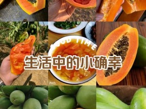 51 吃瓜永久入口，新鲜水果、绿色食品，健康生活每一天