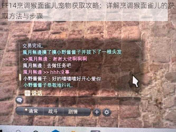 FF14烹调猴面雀儿宠物获取攻略：详解烹调猴面雀儿的获取方法与步骤