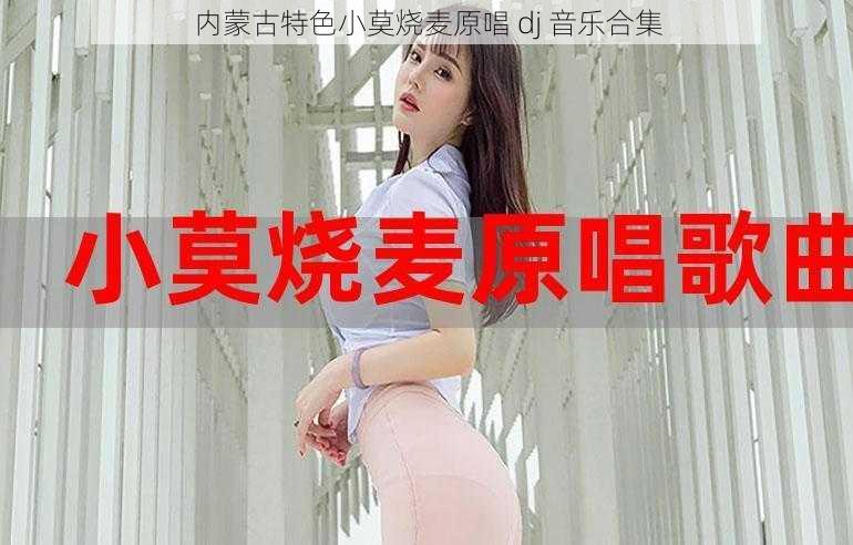 内蒙古特色小莫烧麦原唱 dj 音乐合集