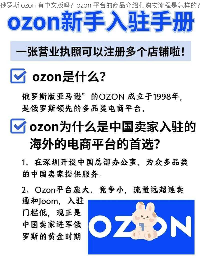 俄罗斯 ozon 有中文版吗？ozon 平台的商品介绍和购物流程是怎样的？