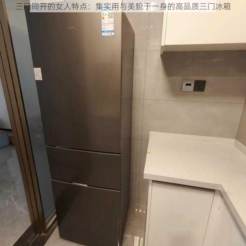 三门同开的女人特点：集实用与美貌于一身的高品质三门冰箱