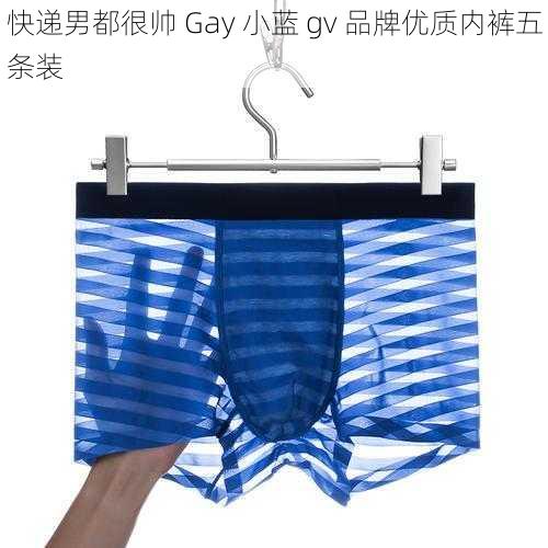 快递男都很帅 Gay 小蓝 gv 品牌优质内裤五条装